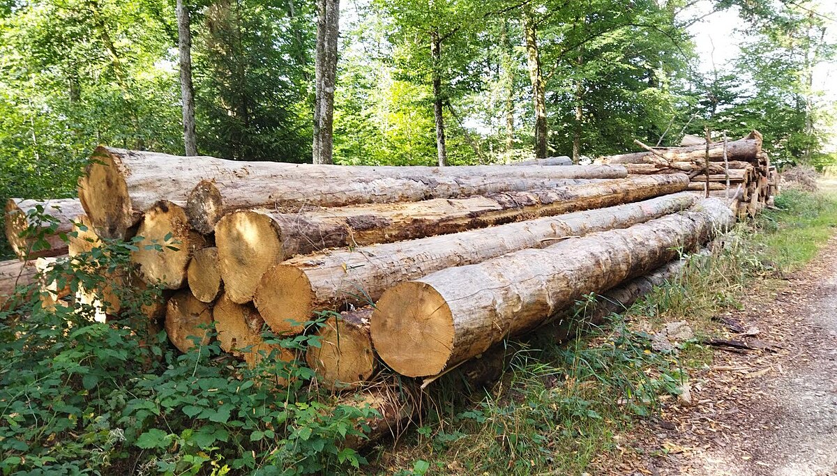 Grumes disponibles à la vente